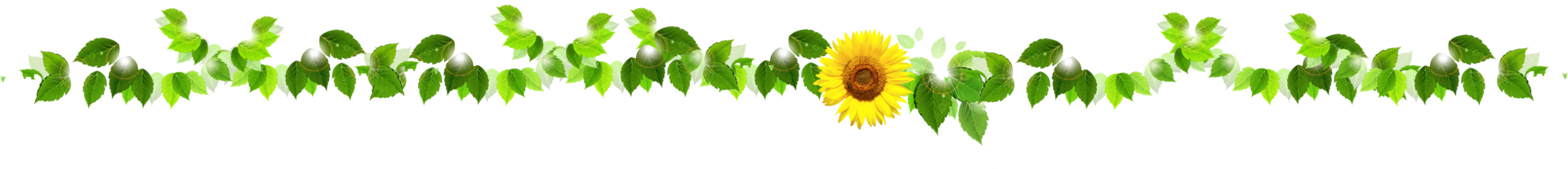 Blumenranke Blum,enranke mit Blättern und Sonnenblume