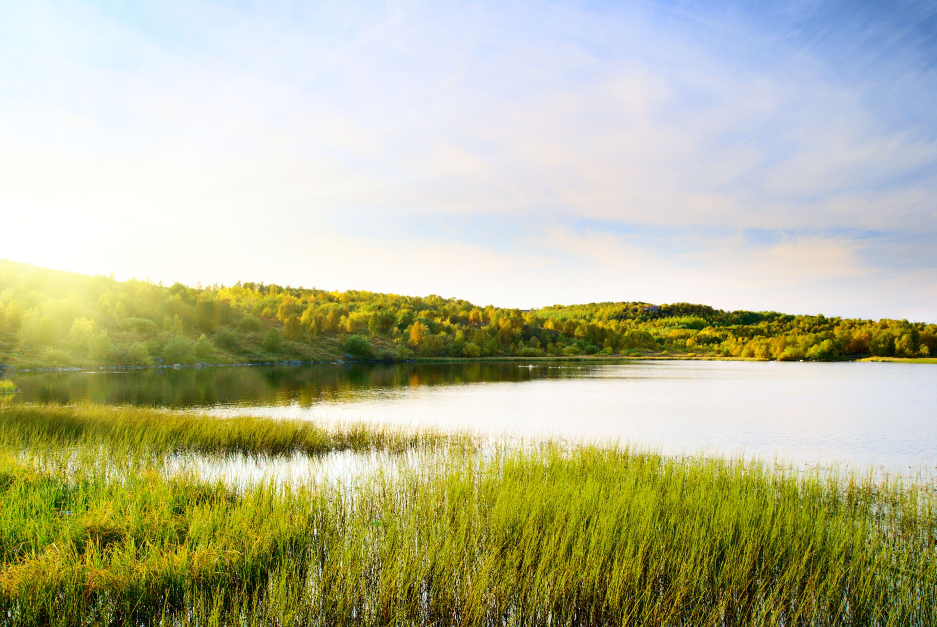 Idyllische Seenlandschaft mit Sonnenschein – Natur pur in der Oberlausitz. Ein sonniger See mit Schilf im Vordergrund und einem Wald im Hintergrund, durch den Sonnenstrahlen scheinen. Der Himmel ist hellblau mit einigen Wolken.